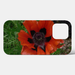 Case-Mate iPhone Case pavot d'Orient    