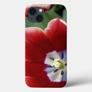 Coques Pour iPhone Pays-Bas (aussi appelé Hollande), Lisse. Keukenhof