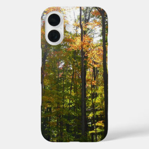 Coques iPhone 16 Paysage d'automne de forêt ensoleillée