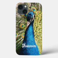 Peacock bleu brillant personnalisé