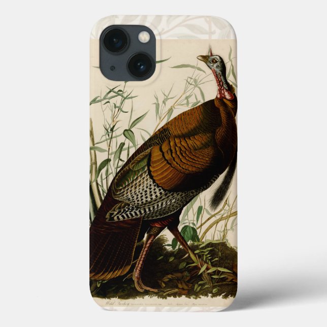 Coques Case-Mate iPhone Peinture d'oiseaux sauvages de Turquie Audubon (Verso)