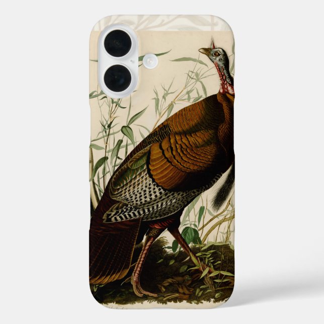 Coques Case-Mate iPhone Peinture d'oiseaux sauvages de Turquie Audubon (Verso)