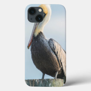 Case-Mate iPhone Case Pélican perché sur un pylône