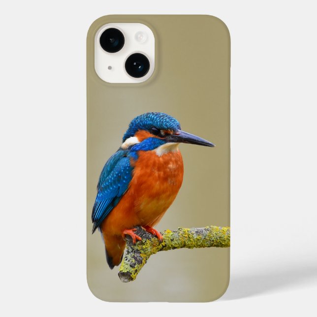 Coques Case-Mate iPhone Perching Kingfisher (Verso)