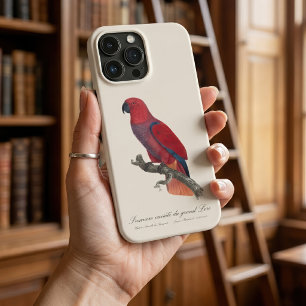 Case-Mate iPhone Case Perroquet éclectus de Vosmaer, Eclectus Roratus Vo