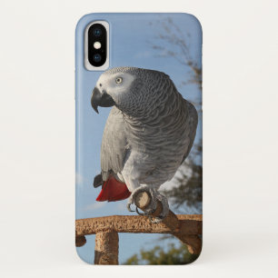 Coques Pour iPhone Perroquet renversant de gris africain