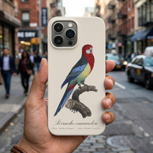 Case-Mate iPhone Case Perruche omnicolore / Eastern rosella 