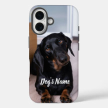 Personnalisé votre Dachshund Chien Photo & Nom