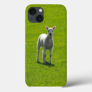Case-Mate iPhone Case Petit agneau blanc sur verre vert