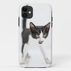 Case-Mate iPhone Case Petit chat