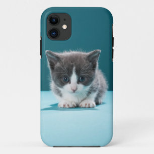 Coques Pour iPhone Petit chaton