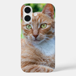 Coques iPhone 16 Petit chou doux