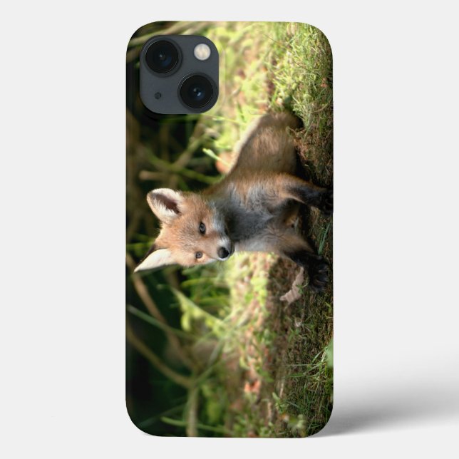 Coques Case-Mate iPhone Petit Cub (Verso)