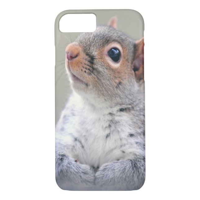 Coques Case-Mate iPhone Petit écureuil gris doux et souple (Dos)
