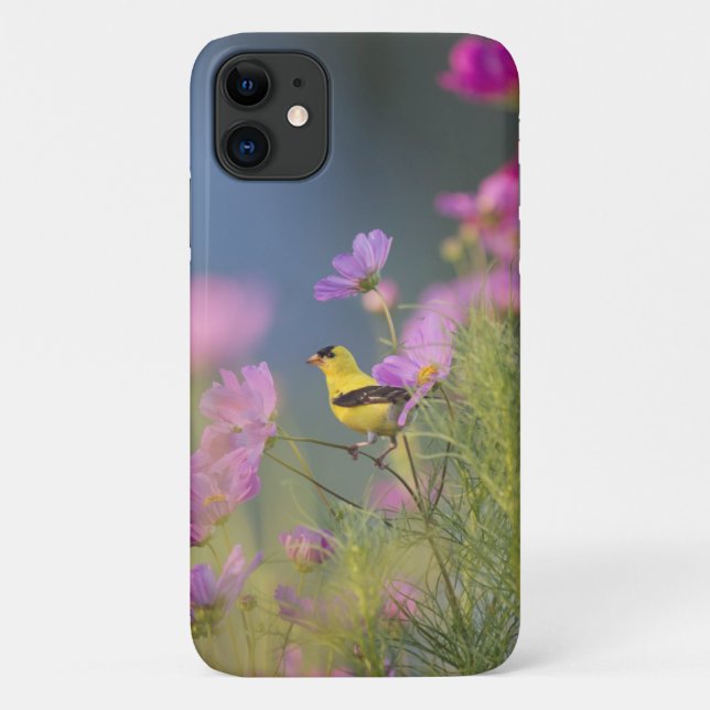 Coques Case-Mate iPhone Petit oiseau jaune dans les fleurs (Dos)