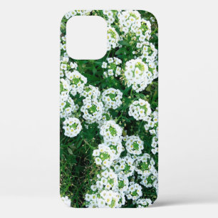Case-Mate iPhone Case Petites fleurs blanches dans l'herbe en journée à