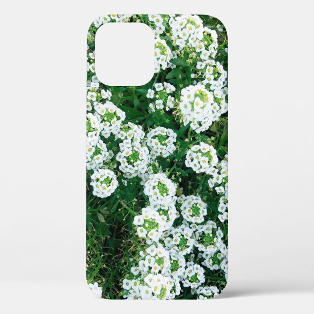 Coques Case-Mate iPhone Petites fleurs blanches dans l'herbe en journée à (Verso)