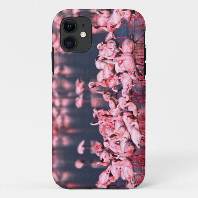 Coques Case-Mate iPhone Petits Flamants (Phoeniconaias minor), Afrique, (Dos)