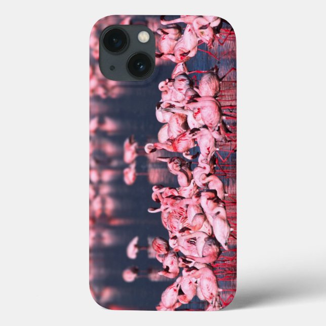 Coques Case-Mate iPhone Petits Flamants roses (Phoeniconaias mineur), Afri (Verso)