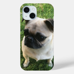 Coque Pour iPhone 15 Photo carlin Puppy