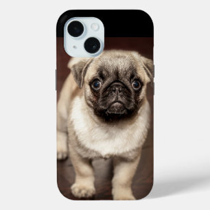 Coque Pour iPhone 15 Photo Chiot Carlin mignon