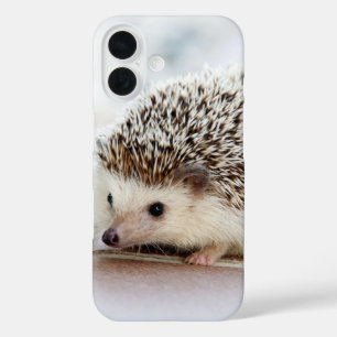 Coques iPhone 16 Photo de bébé hérisson mignon