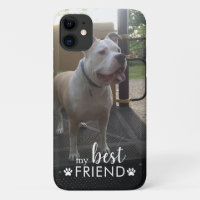 Photo de chien mon meilleur ami