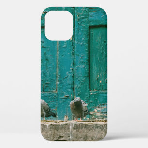 Case-Mate iPhone CASE PHOTO DE CLOSEUP DE DEUX PIGEONS GRIS SUR BÉTON G