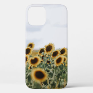 Case-Mate iPhone CASE PHOTO DE CLOSEUP DE SUNFLOWERS