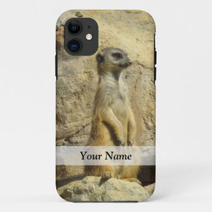 Coques Pour iPhone Photo de Cute meerkat