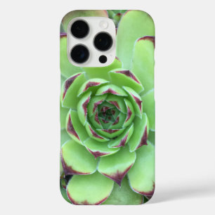 Coques iPhone 16 Pro Photo de gros plan de succulente verte aux pointes
