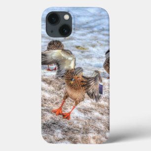 Etui iPhone Case-Mate Photo de la faune de Mallard Duck pour les amateur