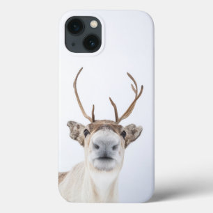 Case-Mate iPhone Case Photo de la nature des rennes