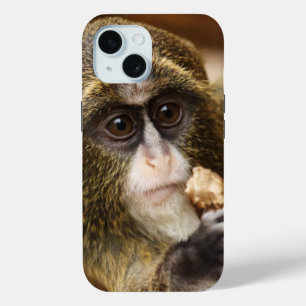 Coque Pour iPhone 15 Photo de l'arbre de l'Escalade singe
