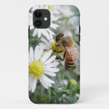 Photo de marguerites de fleurs de fleurs sauvages