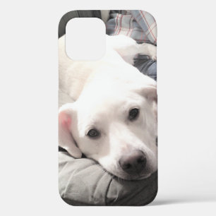 Case-Mate iPhone Case Photo du chien blanc mignon accroché avec papa