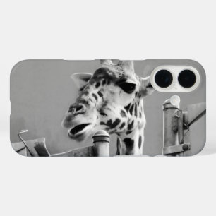 Coques iPhone 16 Photo Giraffe - Noir et Blanc