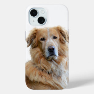 Coque Pour iPhone 15 Photo Golden Retriever Dog