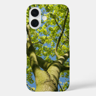 Coques iPhone 16 Photo Green Tree Crown avec ciel bleu -