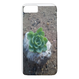 Case-Mate iPhone Case photo verte succulente d'echeveria