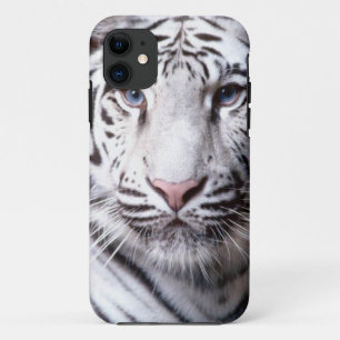 Coque iPhone 11 Photographie blanche de tigre de Bengale