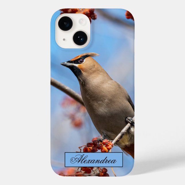 Coques Case-Mate iPhone Photographie Brown canadienne des oiseaux de la Bo (Verso)