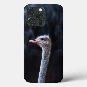 Case-Mate iPhone Case Photographie d'autruche