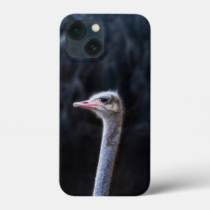 Case-Mate iPhone Case Photographie d'autruche