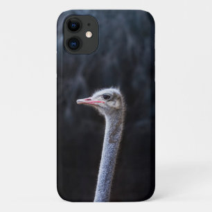 Case-Mate iPhone Case Photographie d'autruche