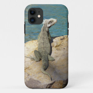 Coque iPhone 11 Photographie de la faune tropicale Iguana à St. Th