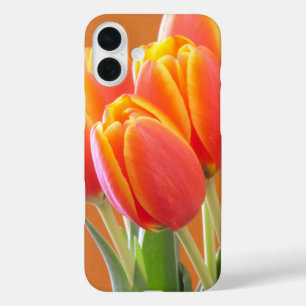 Coques iPhone 16 Plus Photographie de la tulipe orange bordée de jaune