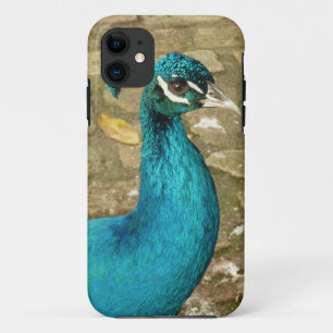 Case-Mate iPhone Case Photographie de nature magnifique de paon