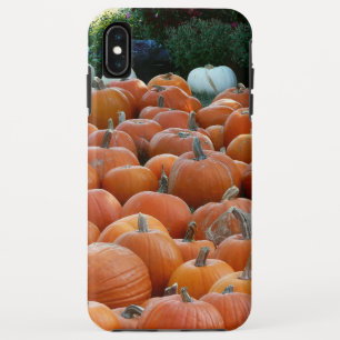 Case-Mate iPhone Case Photographie de récolte d'automne des citrouilles