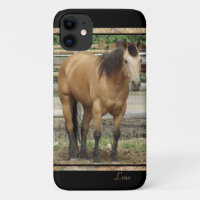 Photos de Cheval Buckskin